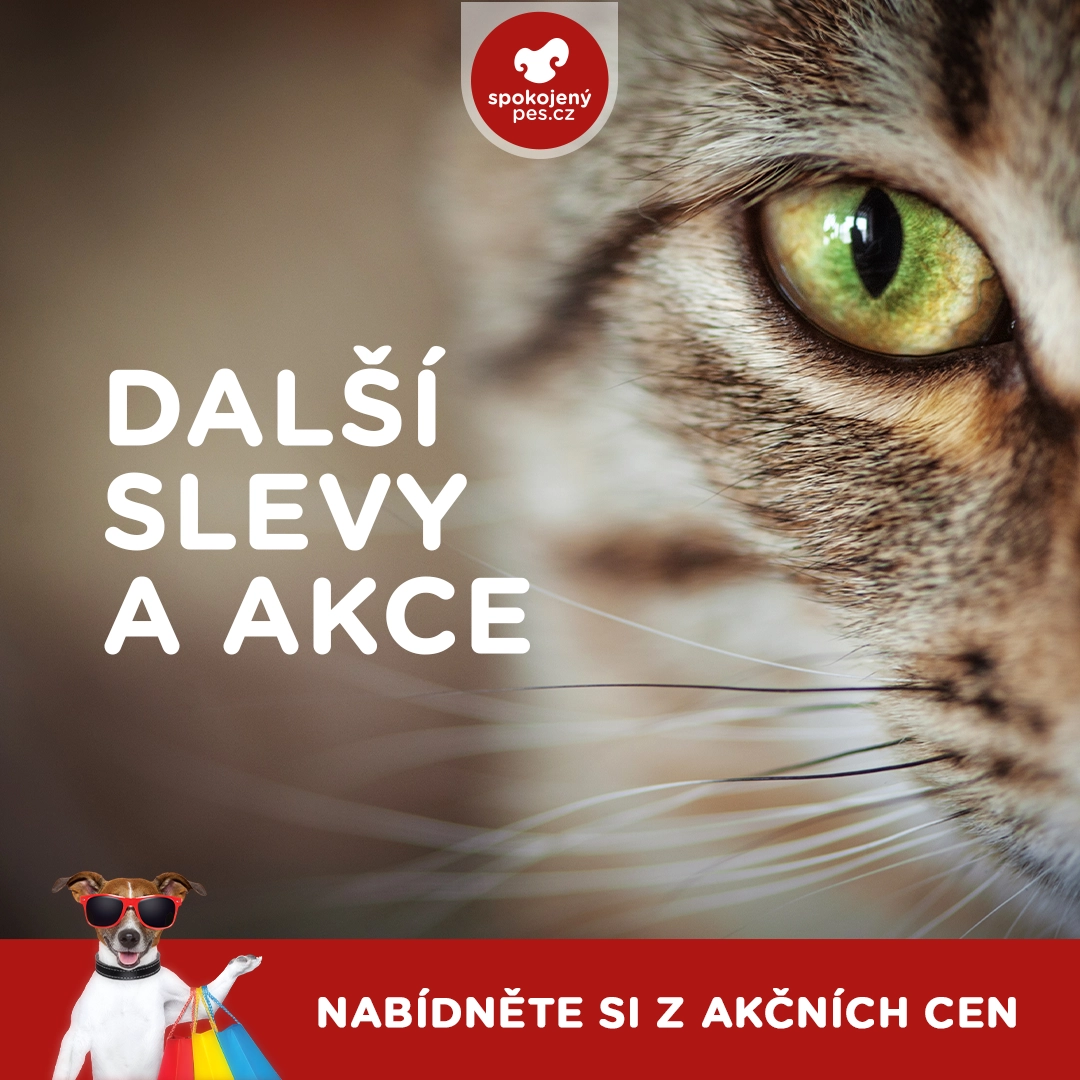 vsechny akce cat.webp